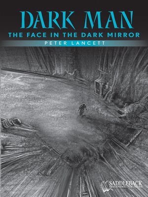 cover image of The Face in the Dark Mirror (Blue Series)